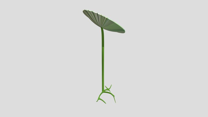 Acetab 3D Model