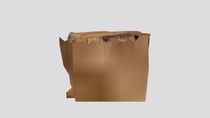 Hiboux 3D Model
