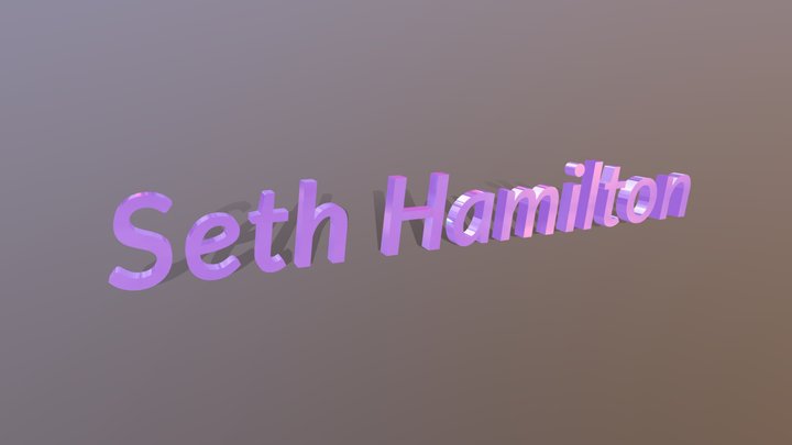 Signature 3D Model