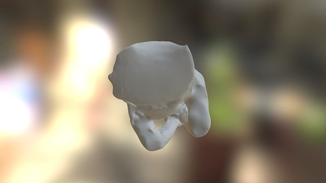 Rodin Edited 3D Model
