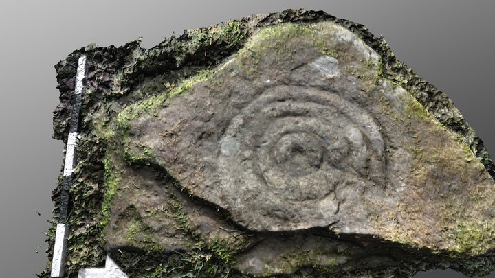 Blarnaboard 3, Gartmore, Stirlingshire