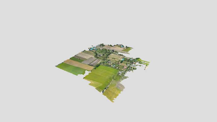 Pho Thong 3D Model