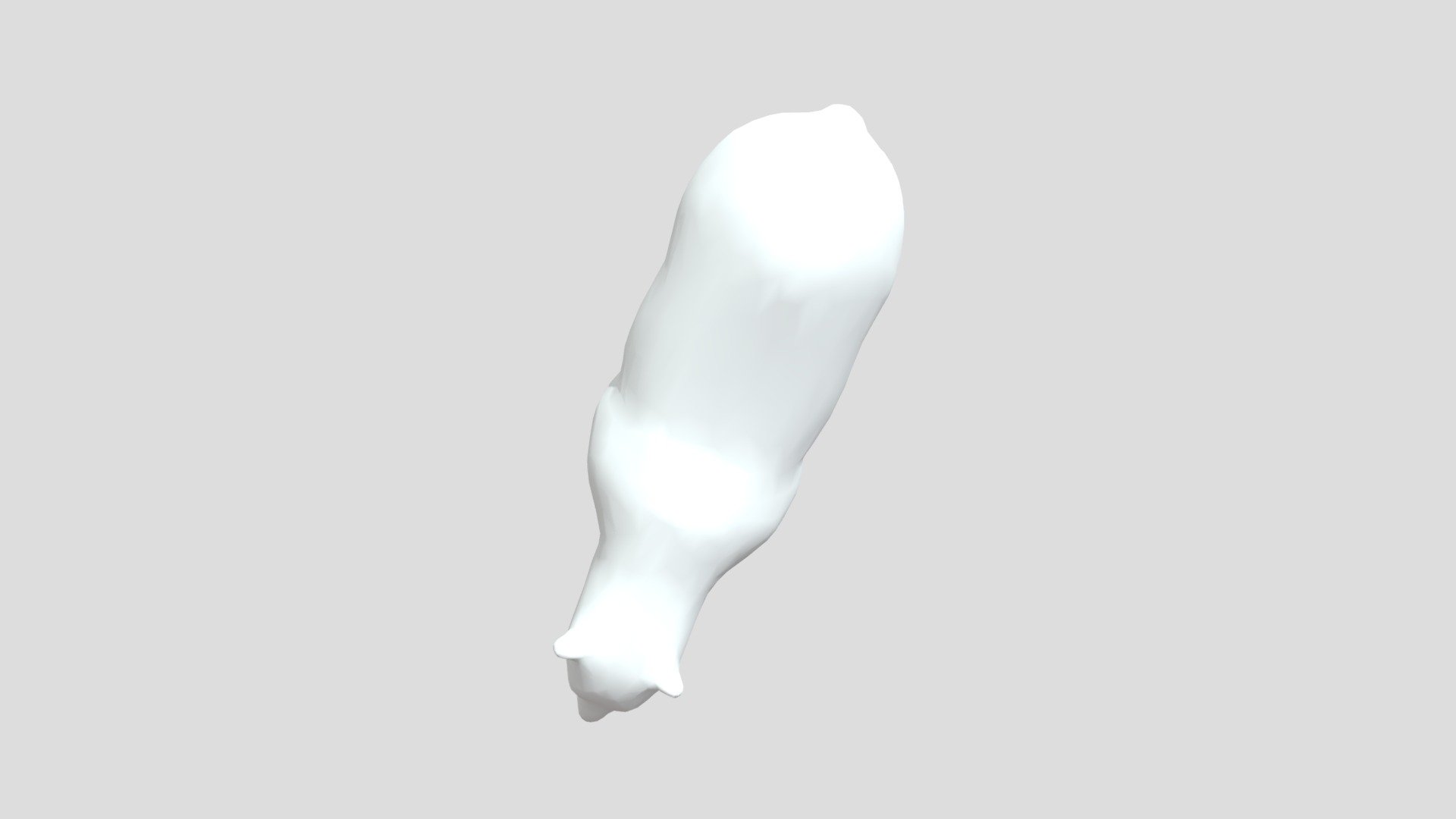 Polar Bear