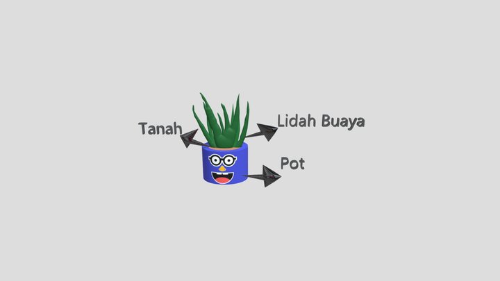 lidah buaya 3D Model