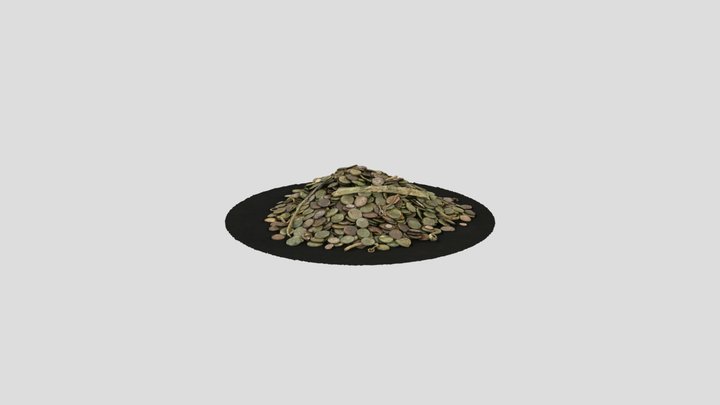 Catillon I 3D Model