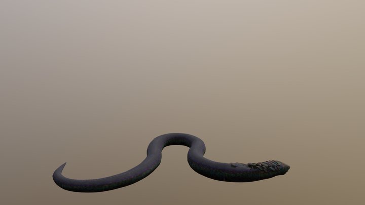 Hydra Boa [jwa[]
