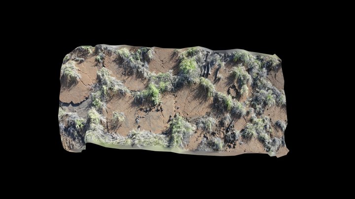 Puako Set 2 3D Model