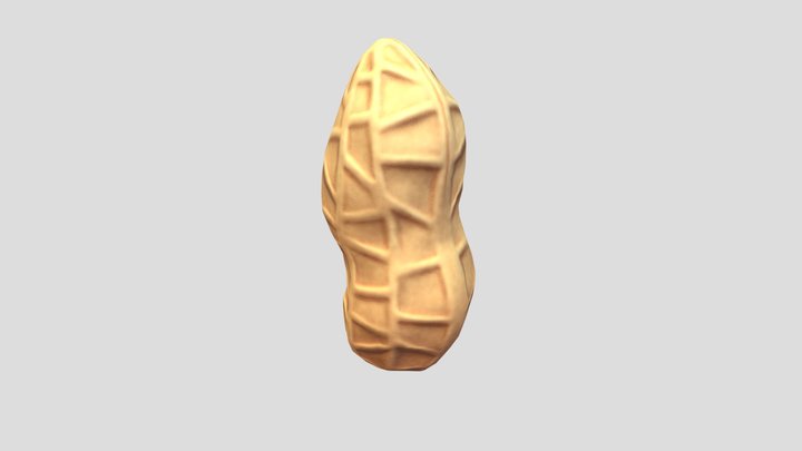Peanut 3D Model