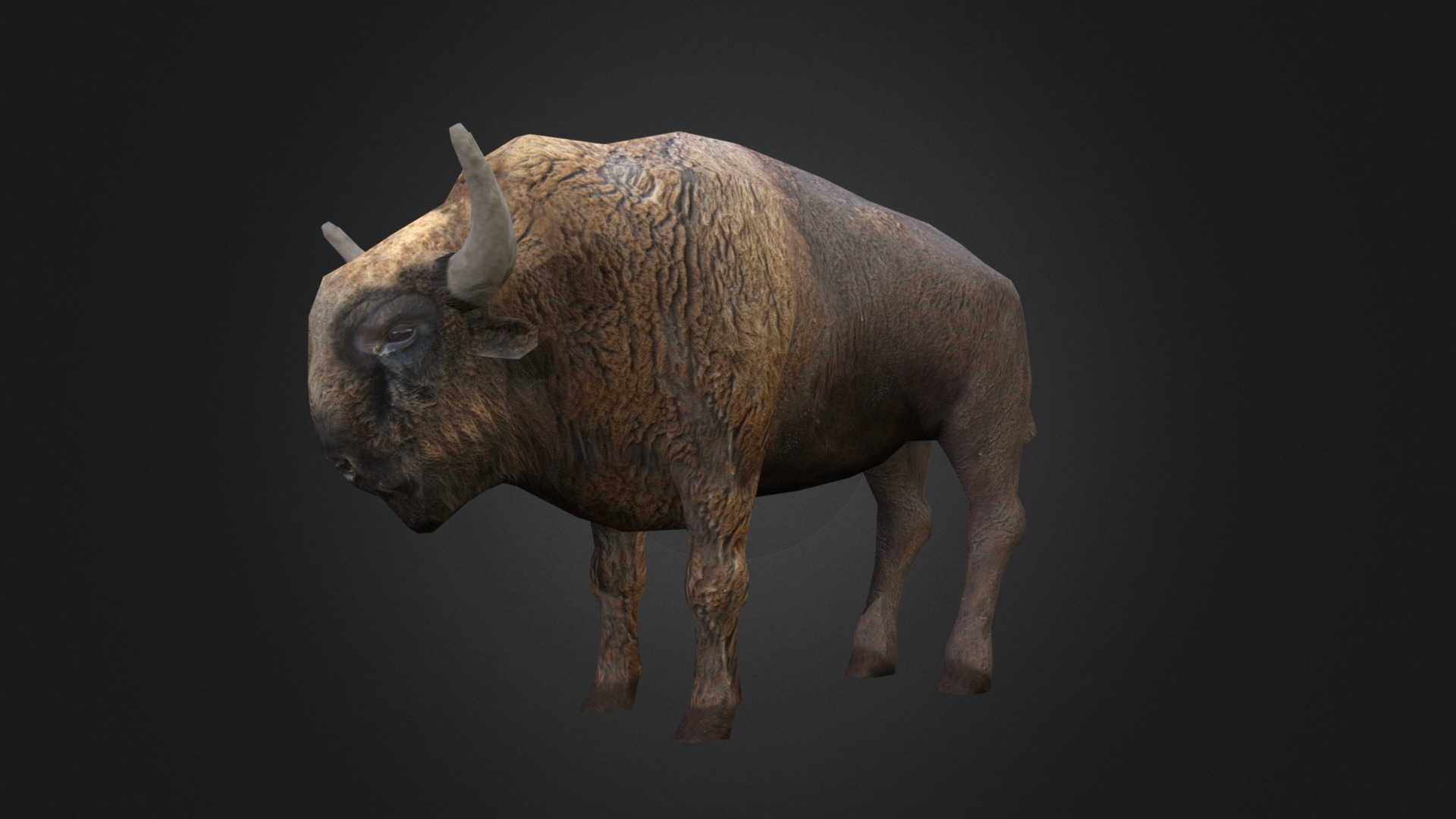 3D model Bison - This is a 3D model of the Bison. The 3D model is about a brown animal with horns.