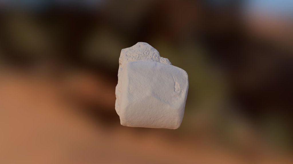 Mammoth metapodial