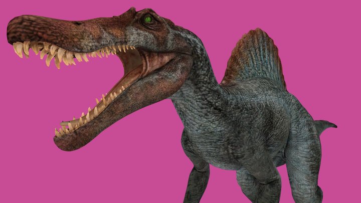 Spinosaurus 3D Model