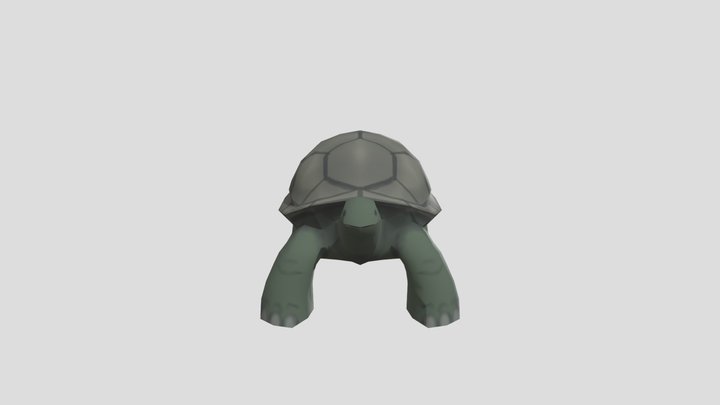 Turtle 3D Model