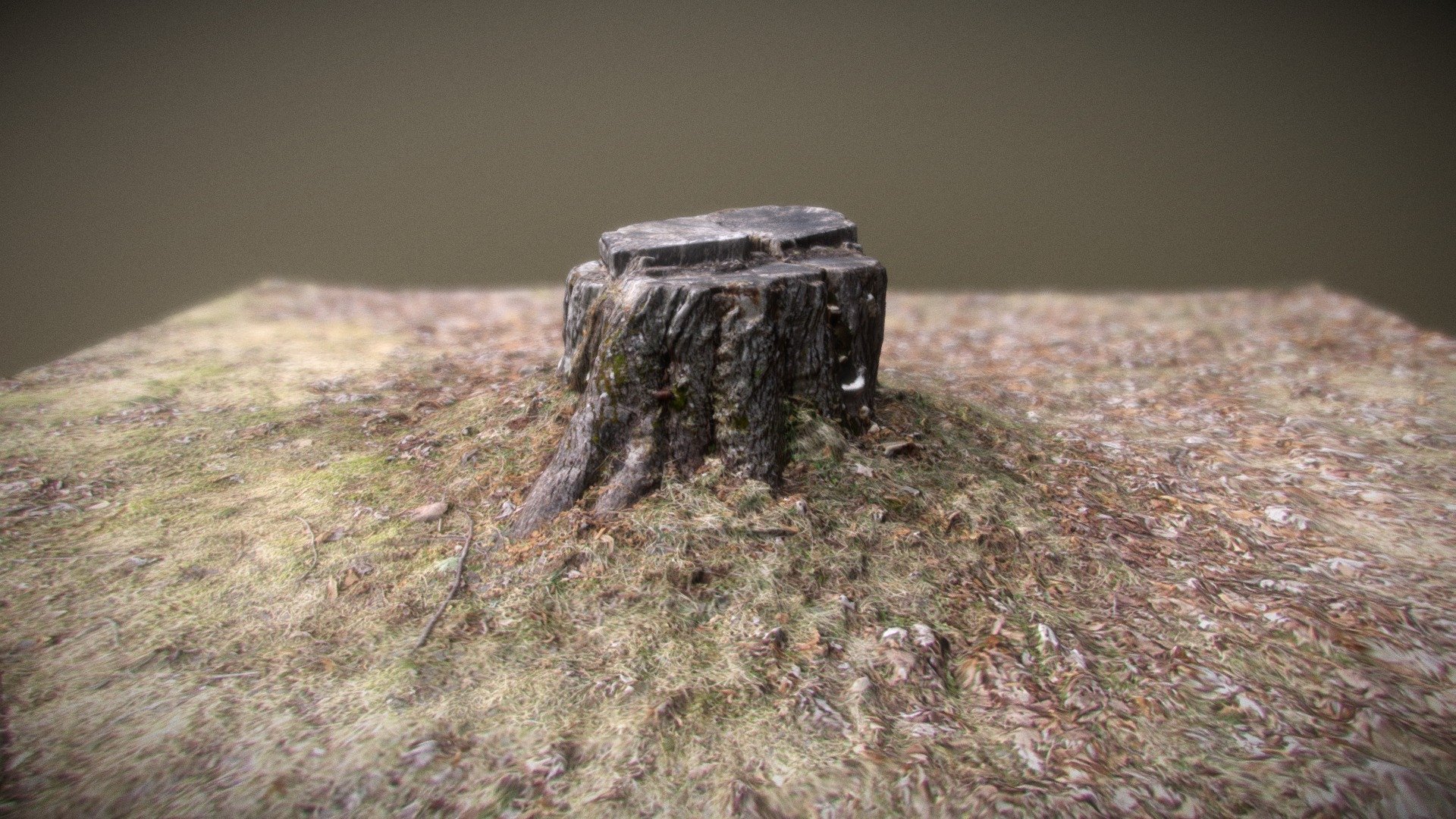 Test03