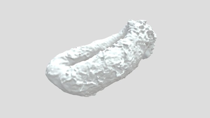 Extrudat_03 3D Model