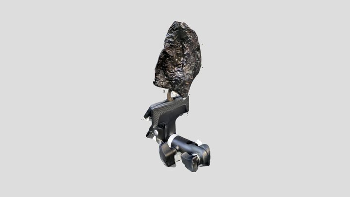 ancho-2 3D Model
