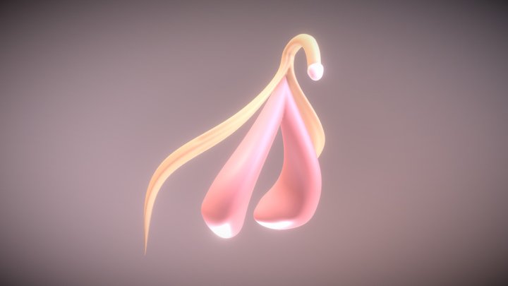 CLITORAL STRUCTURE 3D Model