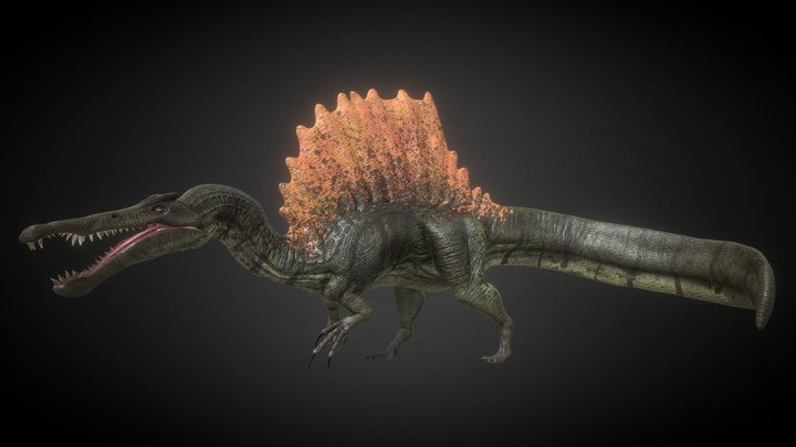 Spinosaurus 3D Model Rigged and Animated 3D Model