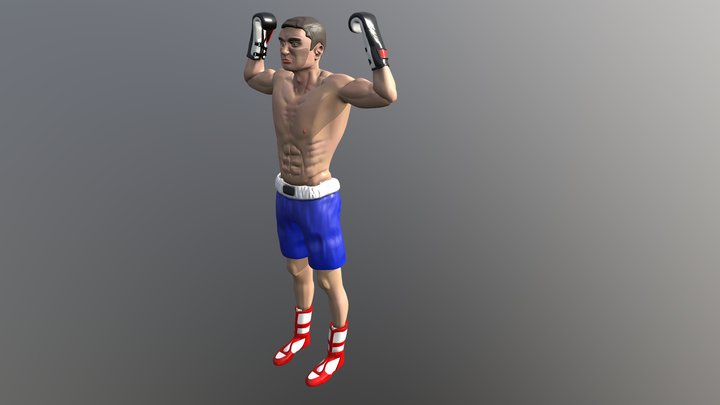 Boxer 3D Model