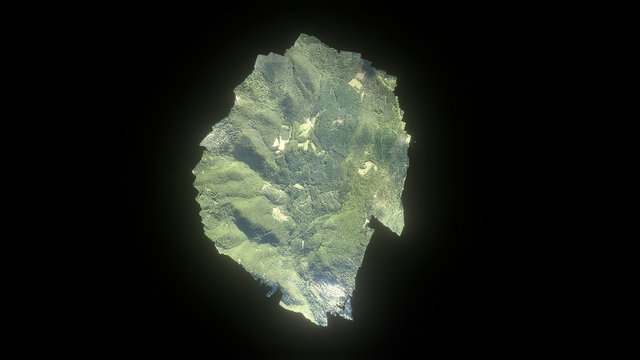 Rincine FreshLife Study Area 3D Model