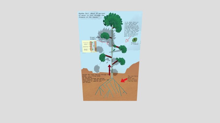 My science 3d model/image 3D Model