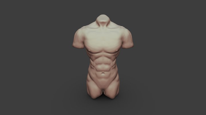 Body 3D Model