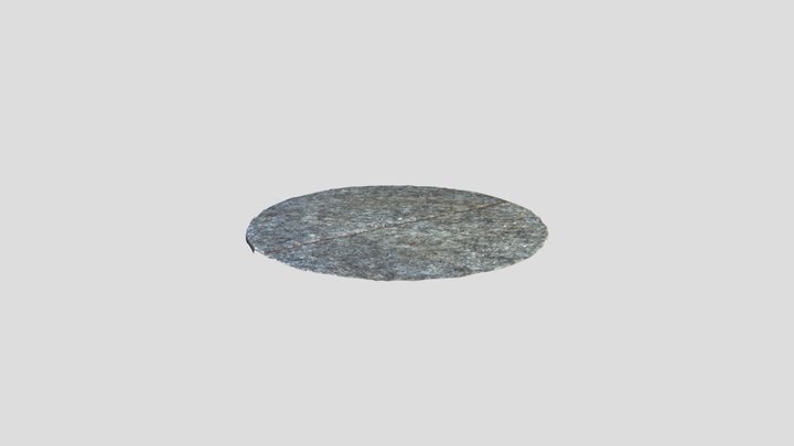 Coaster momen 3D Model