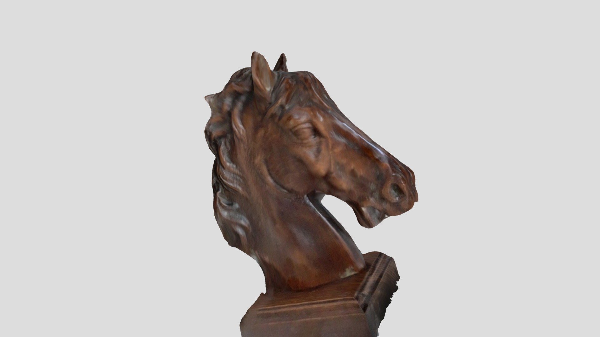 Horse head