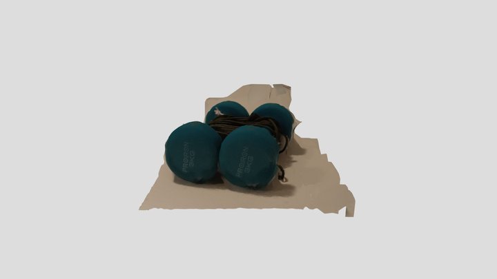 Dumb 2 3D Model