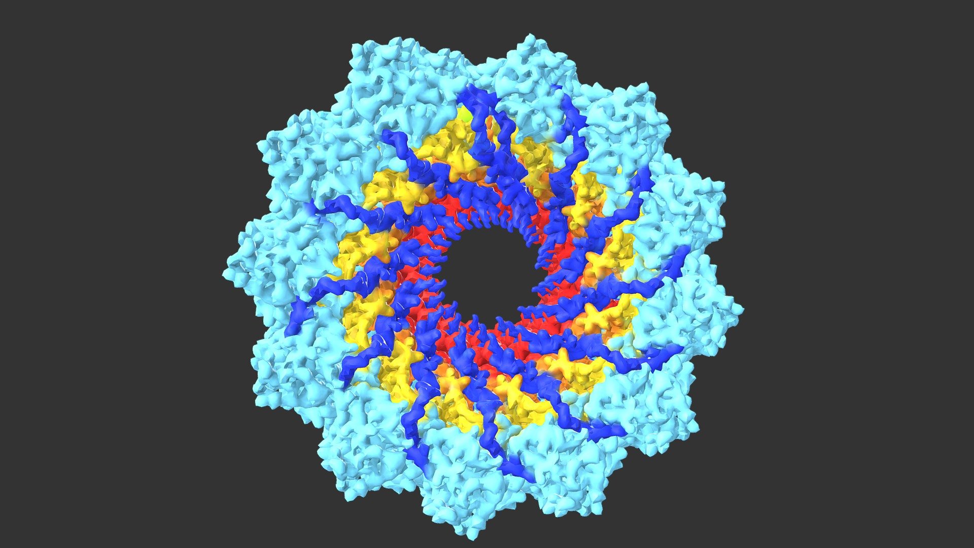 Measles virus nucleocapsid - 3D model by Mieke Roth (@miekeroth ...