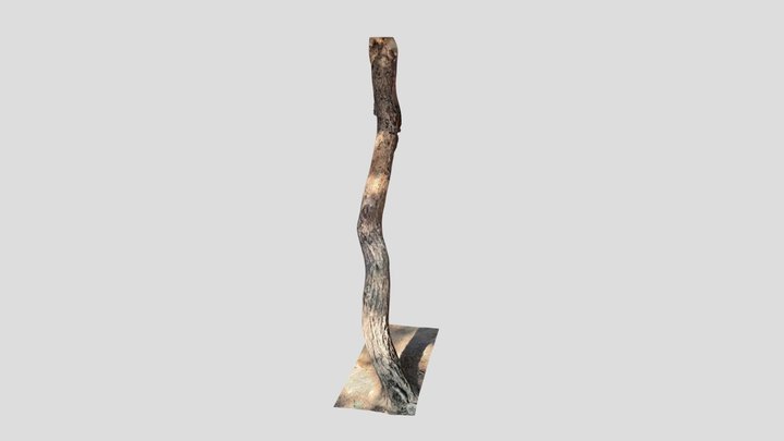 Tree 3D Model
