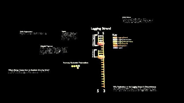 DNA Model Level 3 3D Model