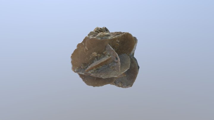 Desert Rose Stone 3D Model