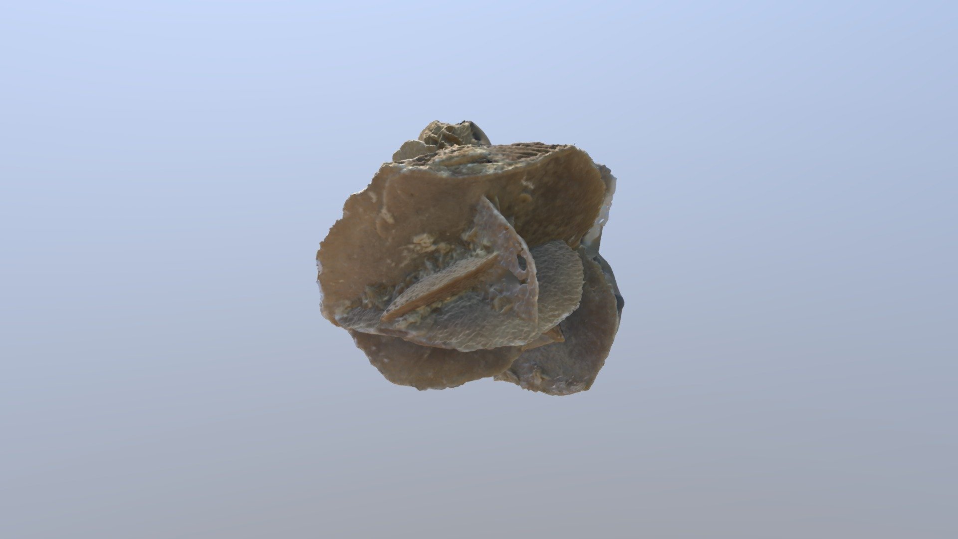 Desert Rose Stone