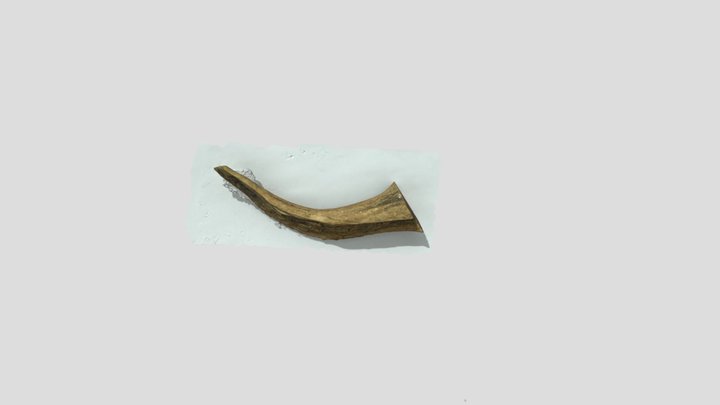 3d Imaging Summative Assessment_Antler 3D Model