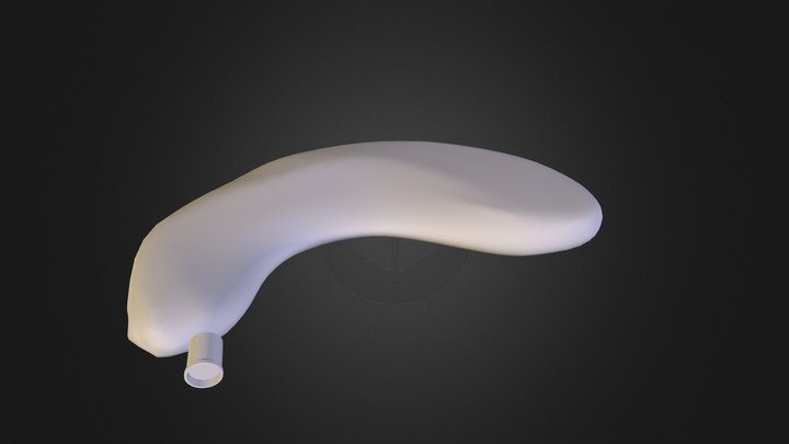 Waterskin 3D Model