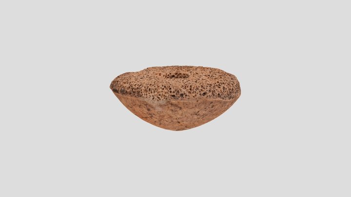 1006 3D Model