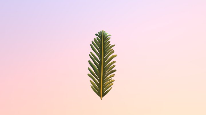 Fern Leaf 3D Model