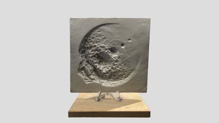 Medallic Art from Poland 3D Model