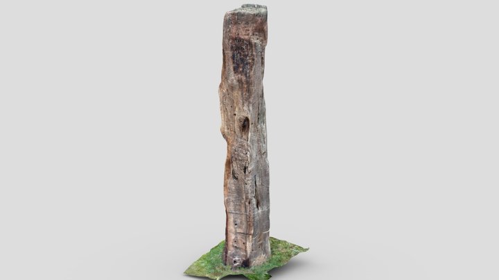 Old railroad tie fence post [raw scan] 3D Model