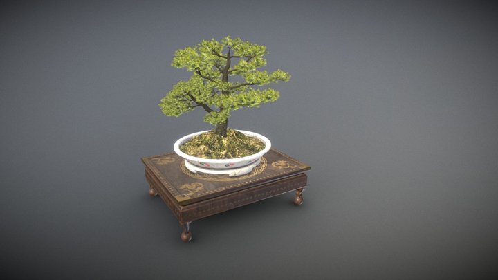 Japanese Bonsai 3D Model