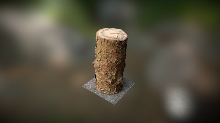 Hlod 3D Model
