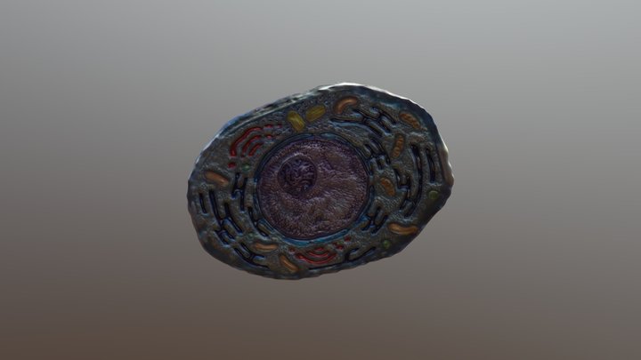 Mitosis Stage 1 3D Model