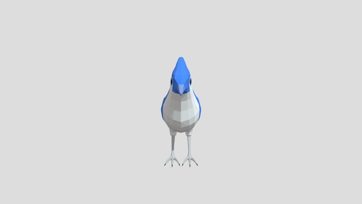 model Low Poly Blue Jay