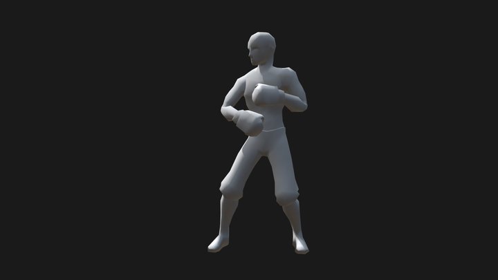 Boxer animation 3D Model