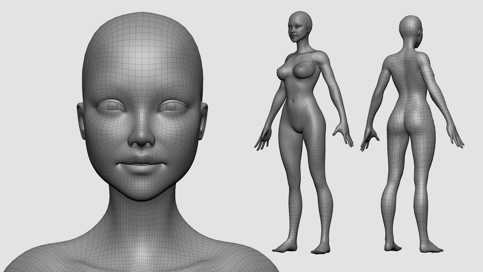 Female Anatomy Basemesh Topology Uv Map Buy Royalty Free 3d Model By Tashi59 Tsering