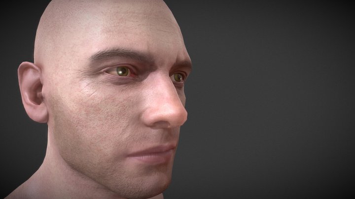 Male_Head_Scan 3D Model