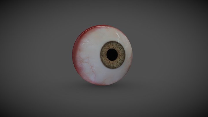 Hazel eye 3D Model
