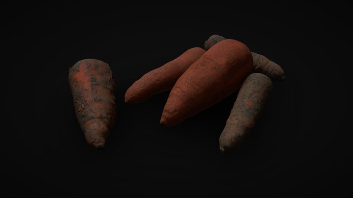 Carrot photogrammetry | Game ready asset 3D Model