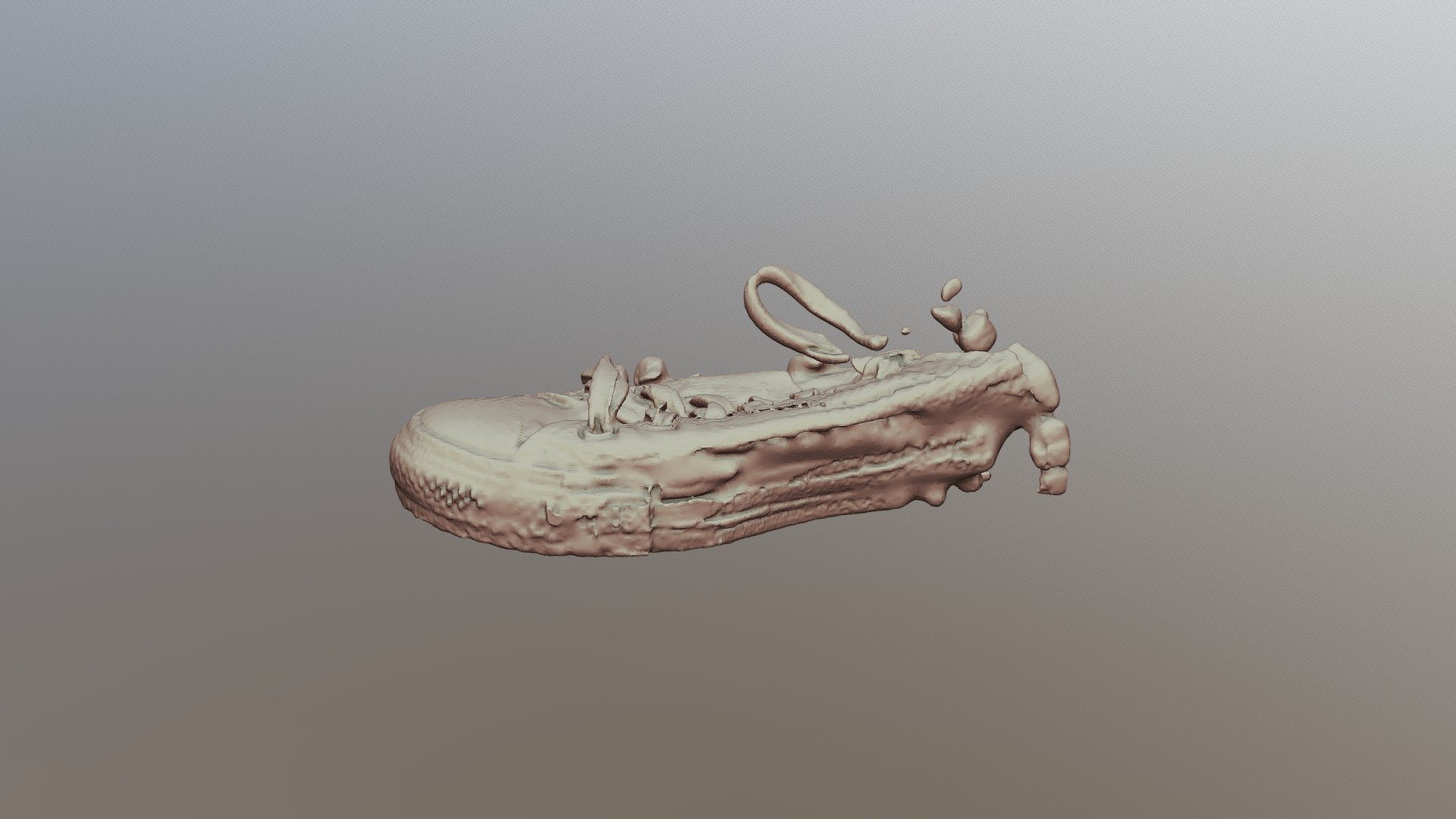 Camo Shoe