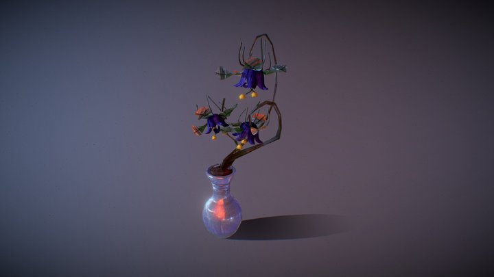wk8_plant_hofbauer_katie 3D Model